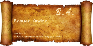 Brauer Andor névjegykártya