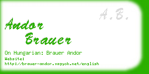 andor brauer business card